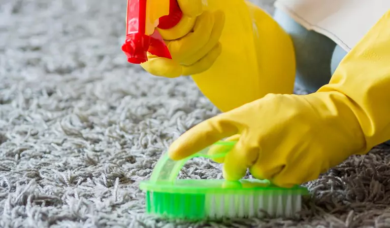 cropped picture of a person cleaning a carpet