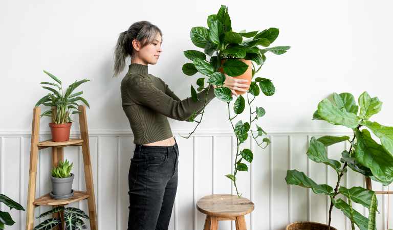 A girl is holding a plant in her hand with lots of plant on the floor.