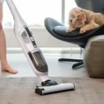 The dog is watching the cleaning in the house with a vacuum cleaner