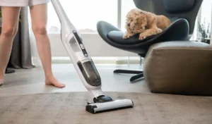 The dog is watching the cleaning in the house with a vacuum cleaner